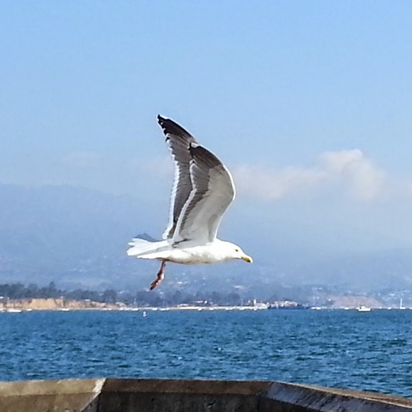 My treasures - Picture 1 of 1